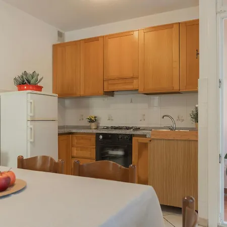 Lentisco Centro By Elbasummer