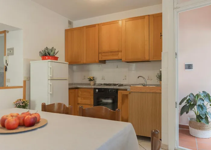 Lentisco Centro By Elbasummer