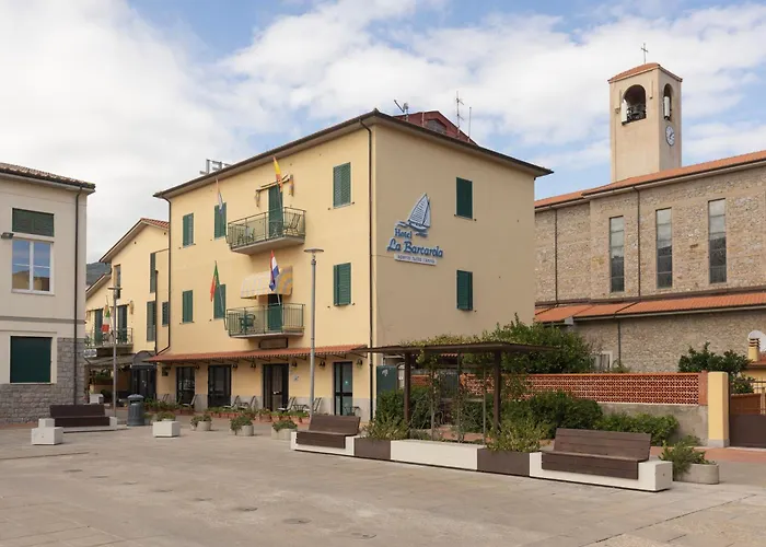 Lentisco Centro By Elbasummer